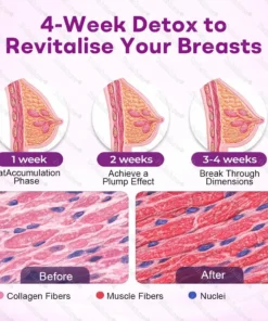 Dobshow® Natural Breast Enhancement Oil for Lift & Firming– Improve Elasticity & Shape